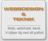 Webb, Design och Teknik Vad vi erbjuder